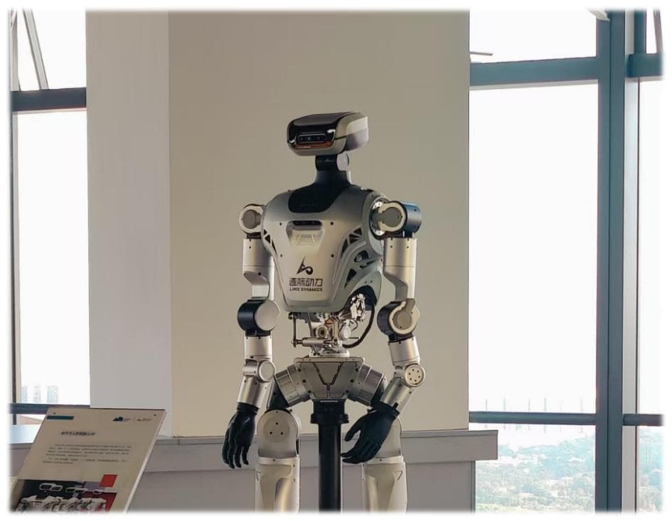 Humanoid Robot Complete Machine Area