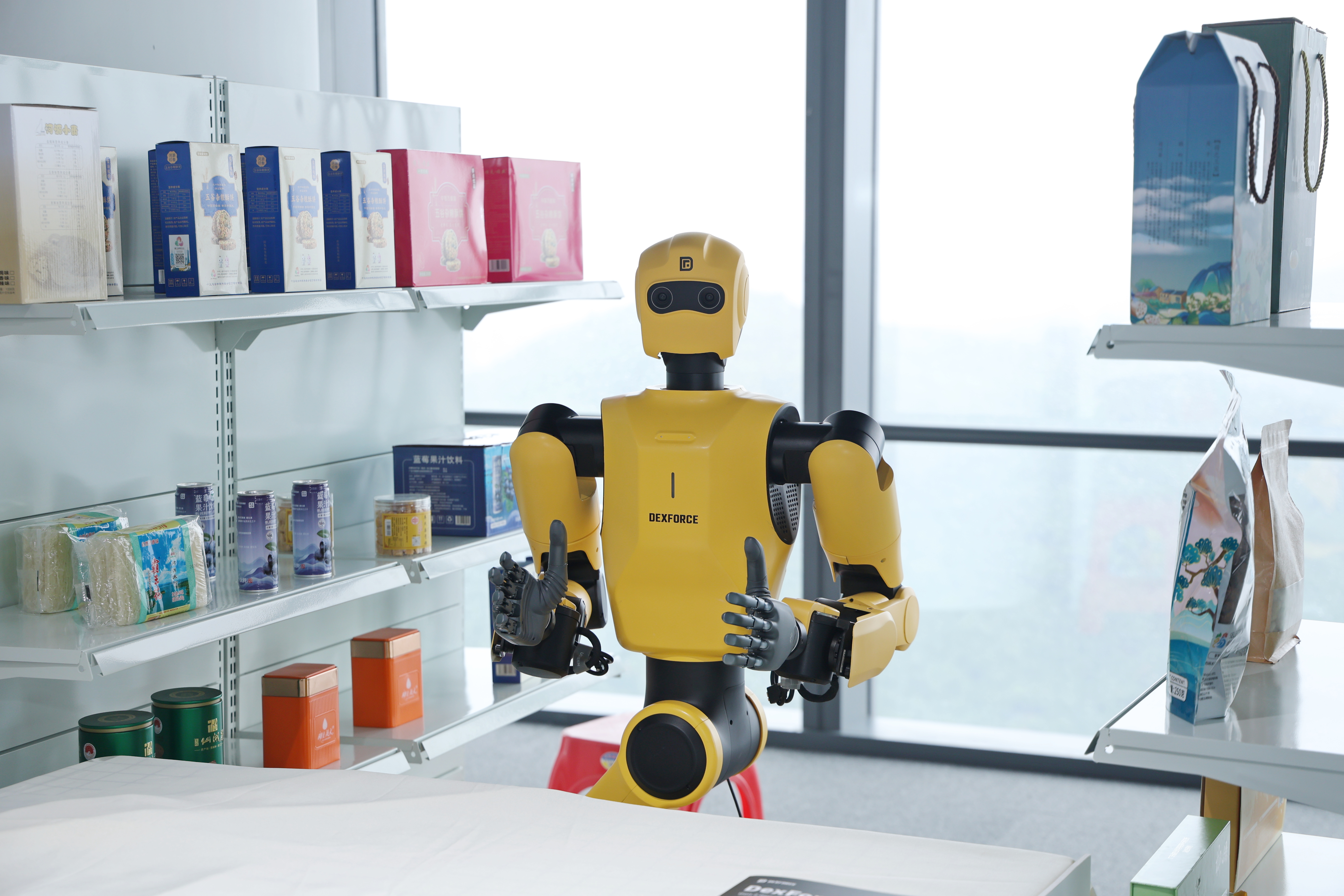 Showroom Gallery 5