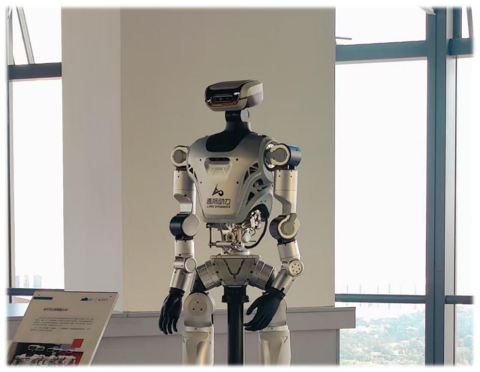 Humanoid Robot Complete Machine Area